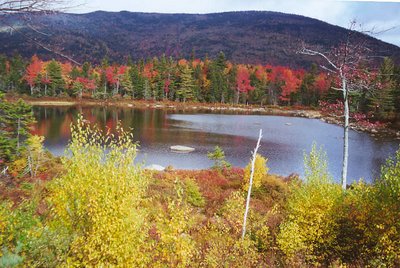 Small Fall Lake