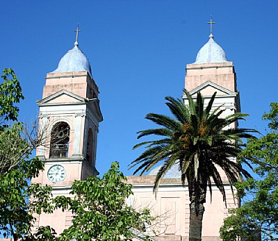 Towers & Trees