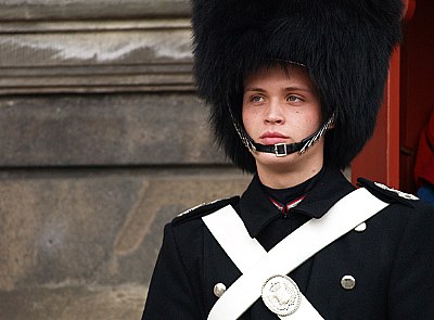 danish guard