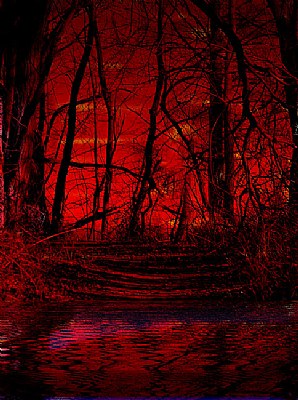 Red Forest