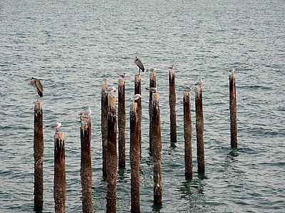Lost in Sea