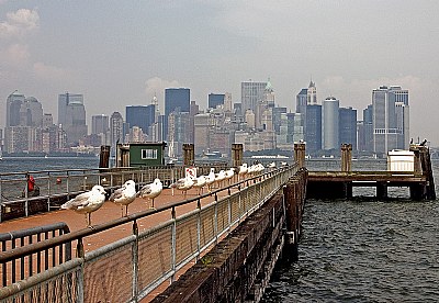 Sea Gull Pier