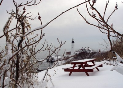 Winter Picnic, Anyone?
