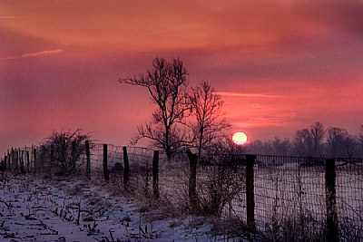 A Winter's Morning