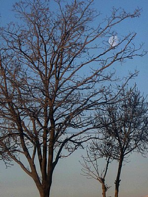 moon in daytime