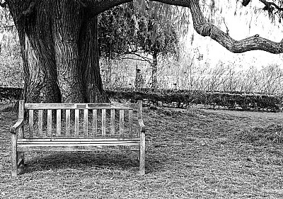 Wood Bench