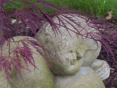 Buddha napping 'neath a tree