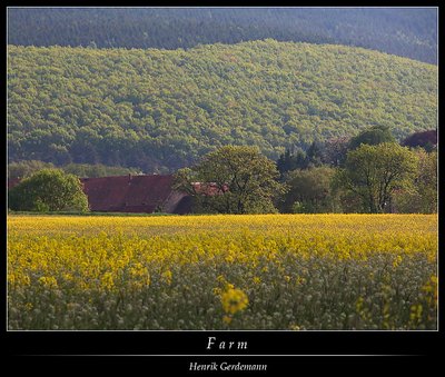 Farm