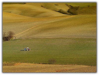 Lost in the fields