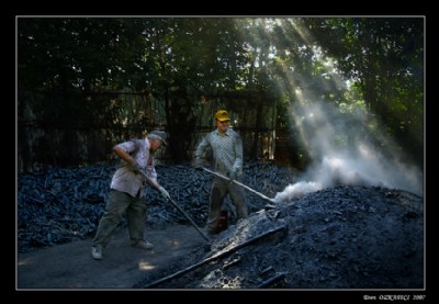 Wood Coal