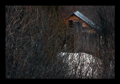 house in snow and thicket