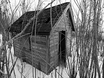 Old Shed