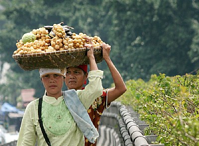 Fruits Seller