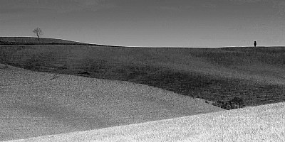 linee agricole#2