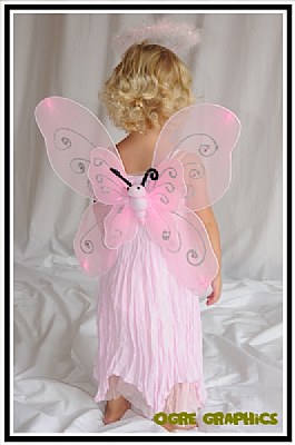 Little Wings