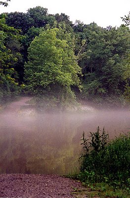 Foggy River
