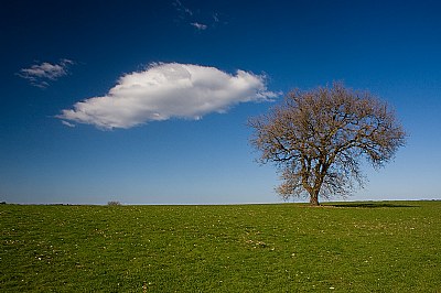 parco di veio