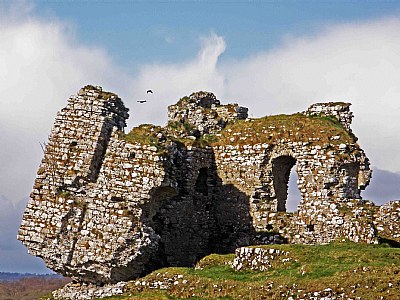 Stone Age Ireland I