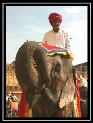 The Elephant and the Mahoot (The Elephant Driver)
