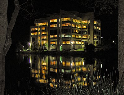 Workplace Reflections