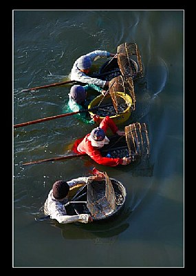 clam farmer