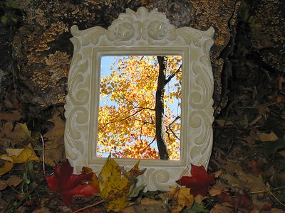 A Mirror of Autumn