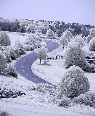 winding road (infrared)