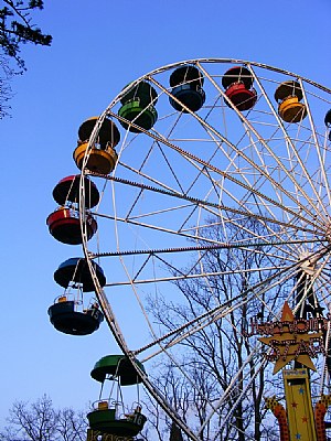 The wheel