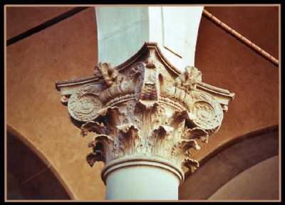 Brown corinthian