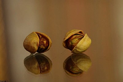 rafsanjan pistachios