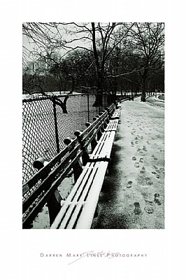 Central Park, snow on the bench