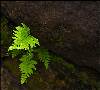 Nothing can stop nature