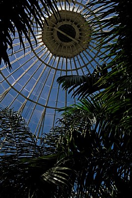Entering the Conservatory