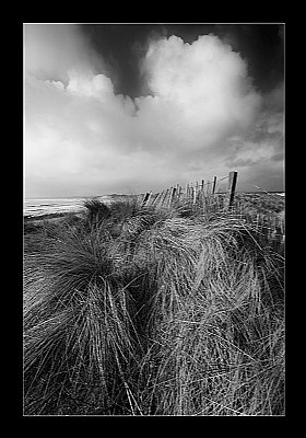 Northumbrian Dunes