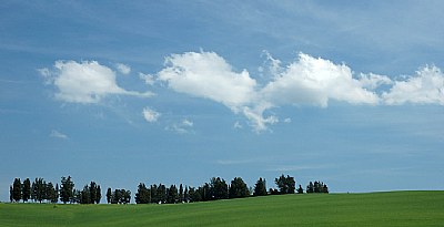 trees 'n' clouds 2