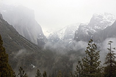 Yosemite Valley #3