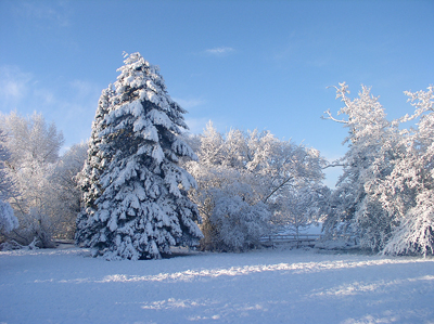 a late snow fall