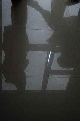 shadows
