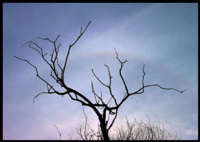 Lonely