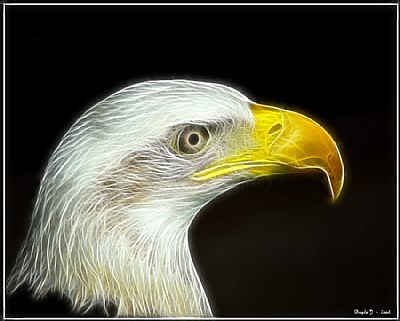 Eagle Fractalius