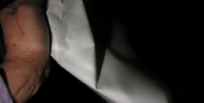 White Balance