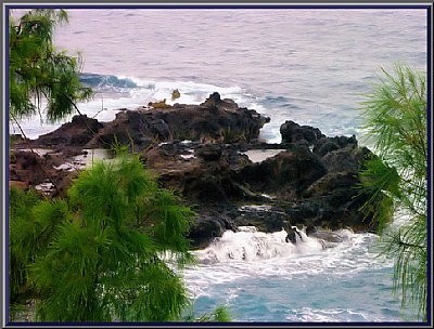 Maui Shore II