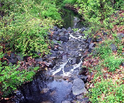 Babbling Brook