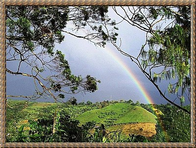 LAND OF MY DREAMS