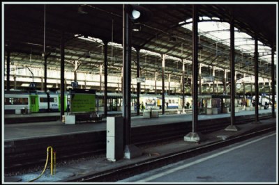 A bit of green in the railway station