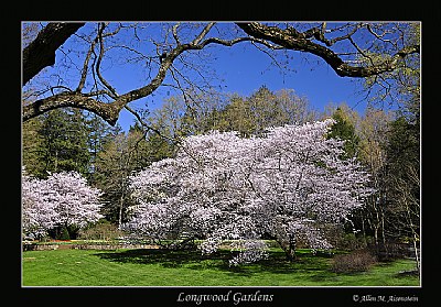 Spring at Longwood