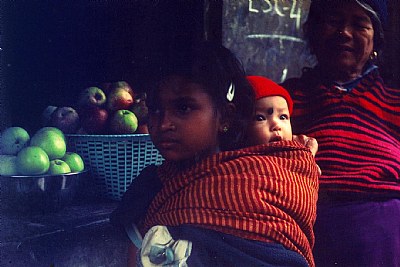 Apples