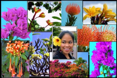 Hawaiian  Flowers Collage