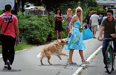 Blondina & mad dog