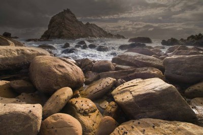 Barnacles II